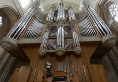 Domorgel zu Münster Domorgel zu Münster